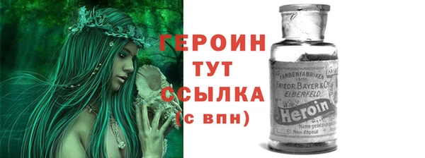 прущие грибы Вяземский